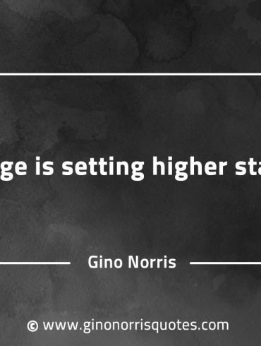Challenge is setting higher standards GinoNorrisQuotesINTJQuotes