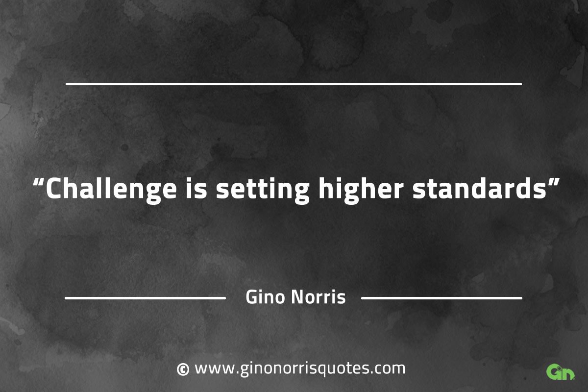 Challenge is setting higher standards GinoNorrisQuotesINTJQuotes