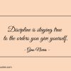 Discipline is staying true to the orders you give yourself ginonorrisquotes