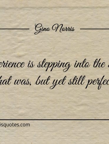 Experience is stepping into the same shoes that was ginonorrisquotes