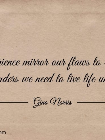 Experience mirror our flaws to reflect the reminders ginonorrisquotes