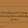 Find what you seek in learning ginonorrisquotes