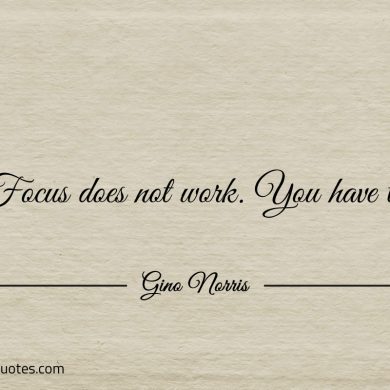 Focus does not work You have to ginonorrisquotes