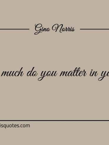 How much do you matter in your life ginonorrisquotes