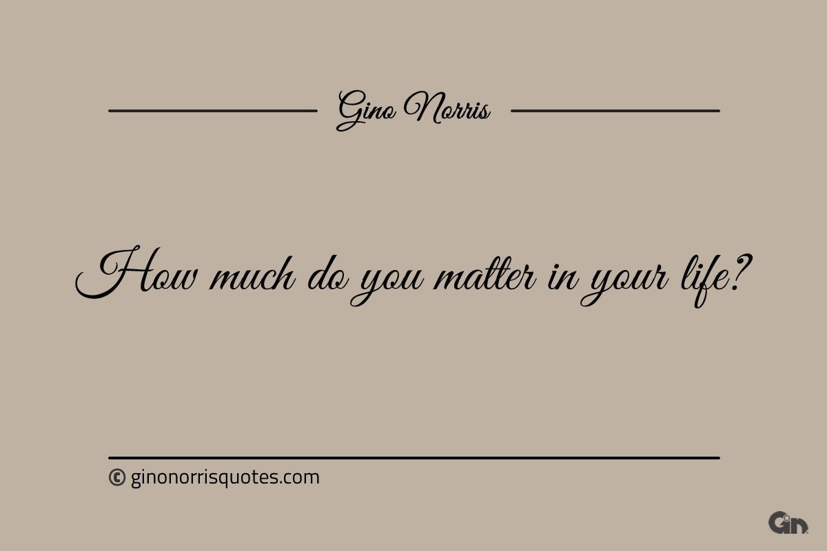 How much do you matter in your life ginonorrisquotes