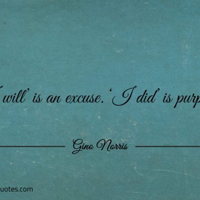 I will is an excuse I did is purpose ginonorrisquotes