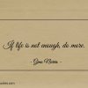 If life is not enough do more ginonorrisquotes
