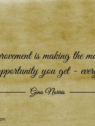 Improvement is making the most of every opportunity you get ginonorrisquotes