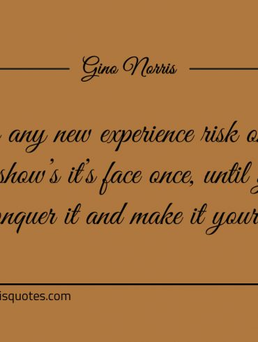 In any new experience risk only ever shows its face once ginonorrisquotes