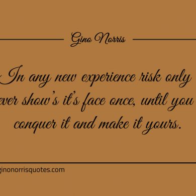 In any new experience risk only ever shows its face once ginonorrisquotes