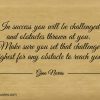 In success you will be challenged ginonorrisquotes