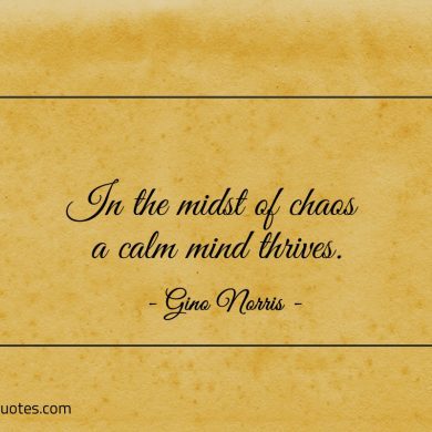 In the midst of chaos a calm mind thrives ginonorrisquotes