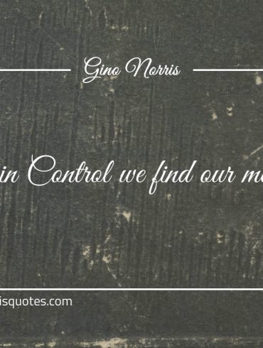 It is in Control we find our moments ginonorrisquotes