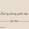 Lead by placing gentle steps ginonorrisquotes