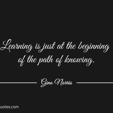 Learning is just at the beginning of the path of knowing ginonorrisquotes