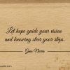 Let hope guide your vision ginonorrisquotes
