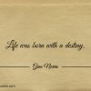 Life was born with a destiny ginonorrisquotes