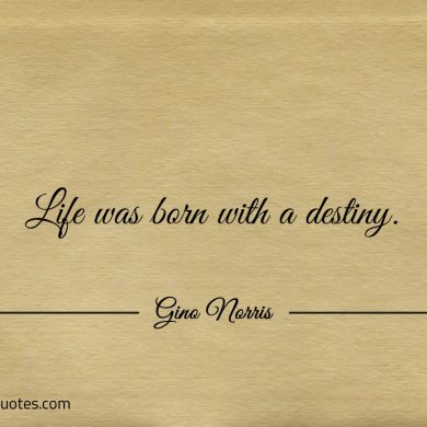 Life was born with a destiny ginonorrisquotes