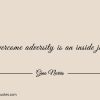 Overcome adversity is an inside job ginonorrisquotes