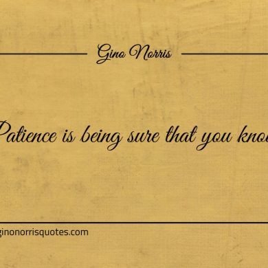 Patience is being sure that you know ginonorrisquotes