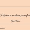 Perfection is excellence personified ginonorrisquotes