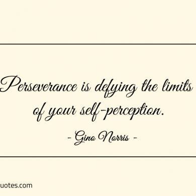 Perseverance is defying the limits of your self perception ginonorrisquotes