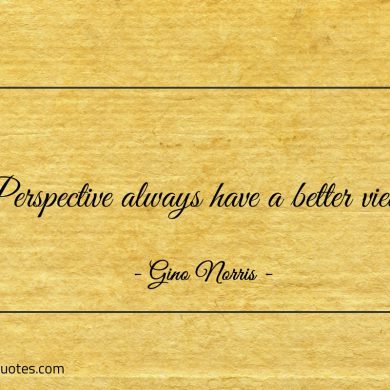 Perspective always have a better view ginonorrisquotes