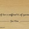Self love is indifferent to self ignorance ginonorrisquotes