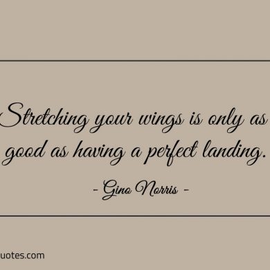 Stretching your wings is only as good ginonorrisquotes