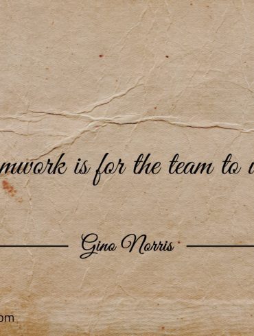 Teamwork is for the team to work ginonorrisquotes
