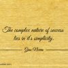 The complex nature of success lies in its simplicity ginonorrisquotes