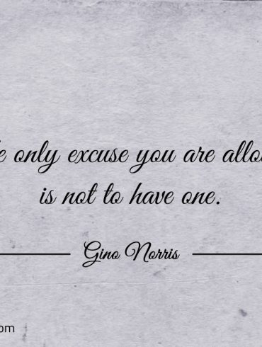 The only excuse you are allowed is not to have one ginonorrisquotes