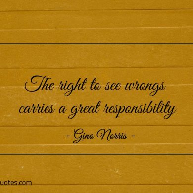 The right to see wrongs carries a great responsibility ginonorrisquotes