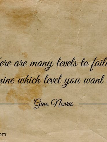 There are many levels to failure ginonorrisquotes