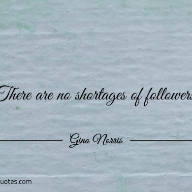 There are no shortages of followers ginonorrisquotes