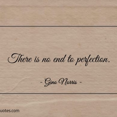 There is no end to perfection ginonorrisquotes