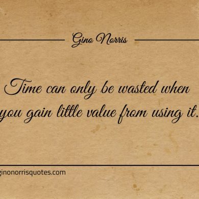 Time can only be wasted ginonorrisquotes