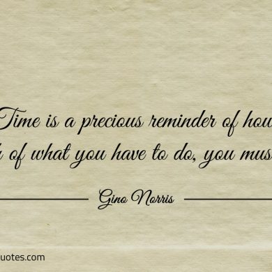 Time is a precious reminder ginonorrisquotes