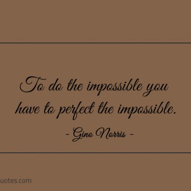 To do the impossible you have to perfect the impossible ginonorrisquotes