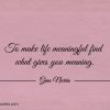 To make life meaningful find what gives you meaning ginonorrisquotes