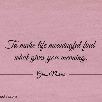 To make life meaningful find what gives you meaning ginonorrisquotes