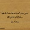 What is determined from you are your choices ginonorrisquotes