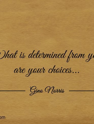 What is determined from you are your choices ginonorrisquotes