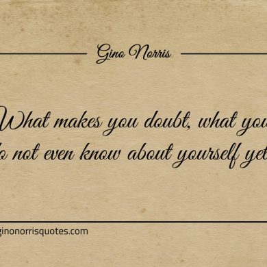 What makes you doubt ginonorrisquotes