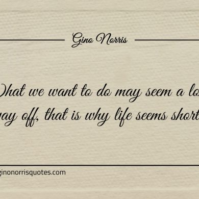 What we want to do may seem a long way off ginonorrisquotes