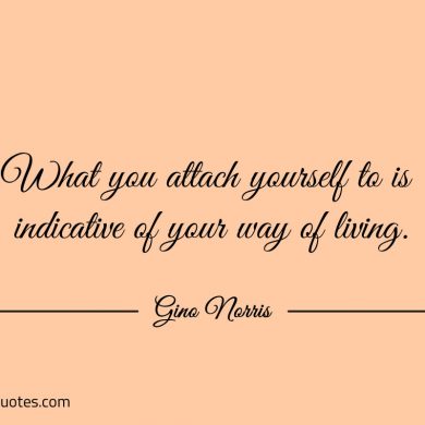 What you attach yourself to is indicative of your way of living ginonorrisquotes