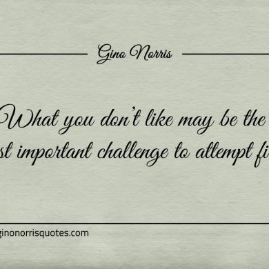 What you dont like may be the most important ginonorrisquotes