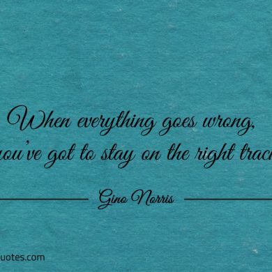 When everything goes wrong ginonorrisquotes