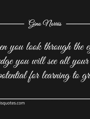 When you look through the eye of knowledge ginonorrisquotes