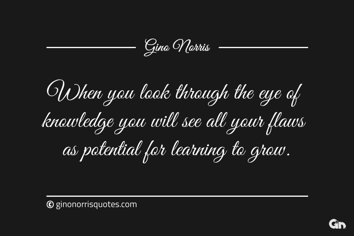 When you look through the eye of knowledge ginonorrisquotes